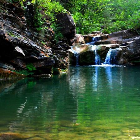 Allotjaments El Pont Camprodon Luaran gambar